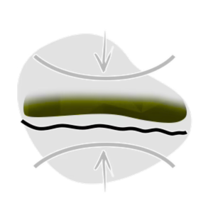 Flexibel